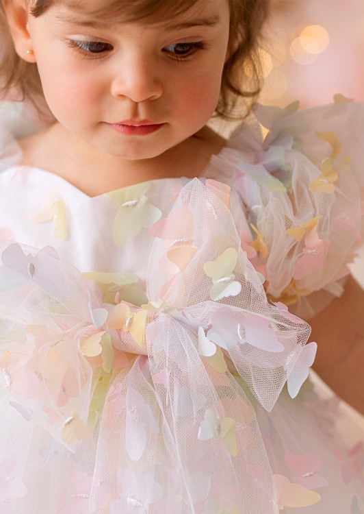 ButterflyRainbow4.jpg