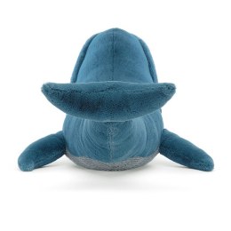 Płetwal Błękitny 55 cm