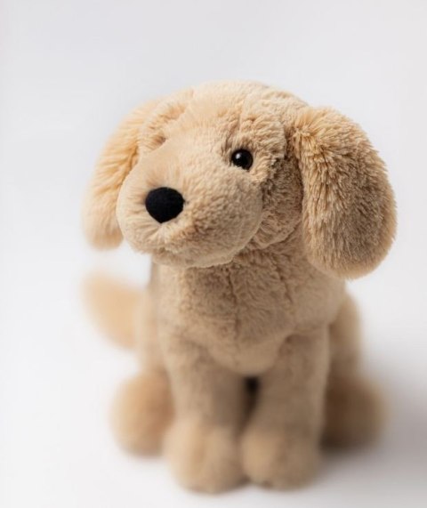 Golden Retriever Tilly 27 cm